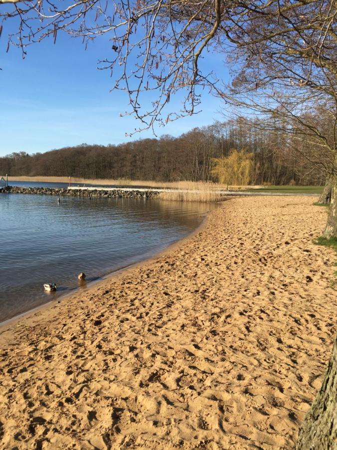 Ferienhaus Mit Bootssteg Am See In Райнсберг Екстериор снимка
